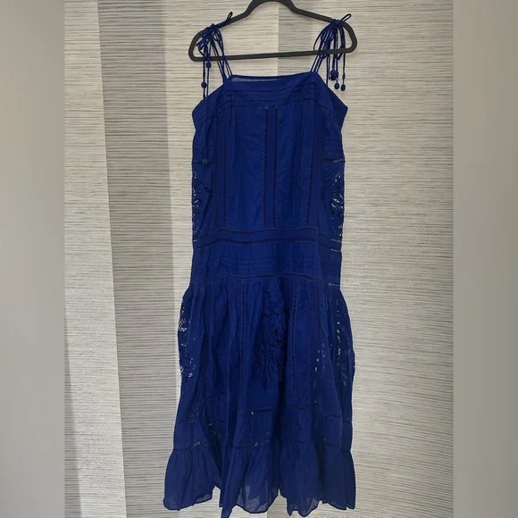 Farm Rio Blue Lace Sleeveless Maxi Dress Sz. M - Picture 4 of 11